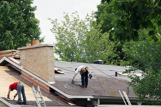 Best Local Roofing Companies  in Delmont, PA