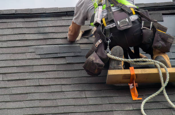 Roof Gutter Cleaning in Delmont, PA