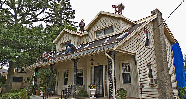 Best Roof Waterproofing Services  in Delmont, PA