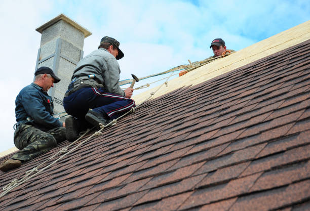Best Storm Damage Roof Repair  in Delmont, PA